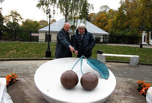 kirsebærmonument