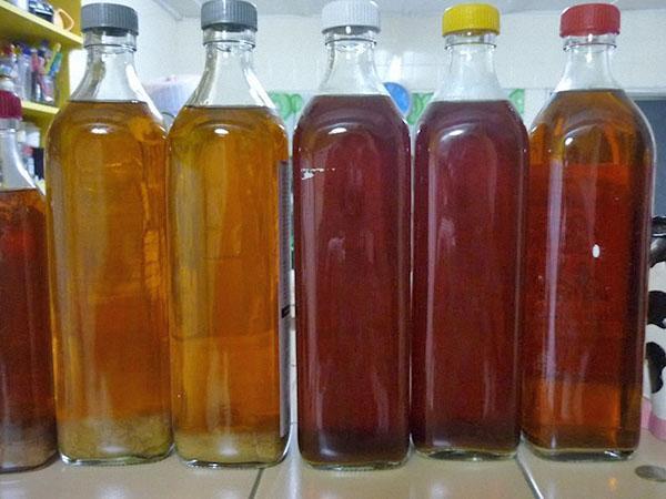 kvass จากองุ่น