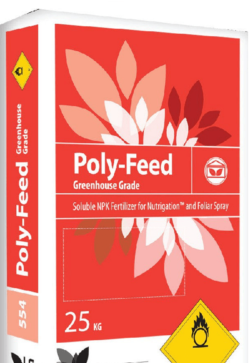 polyfid สีแดง