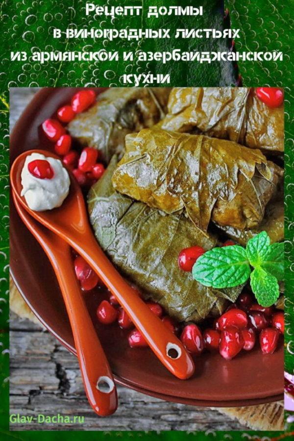 recept dolma v hroznových listech