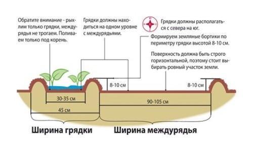 แผนภาพสวน