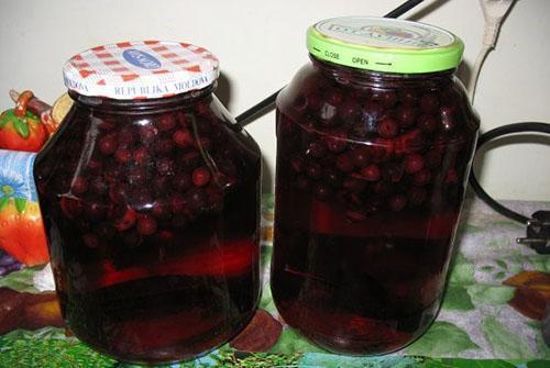 chokeberry kompot