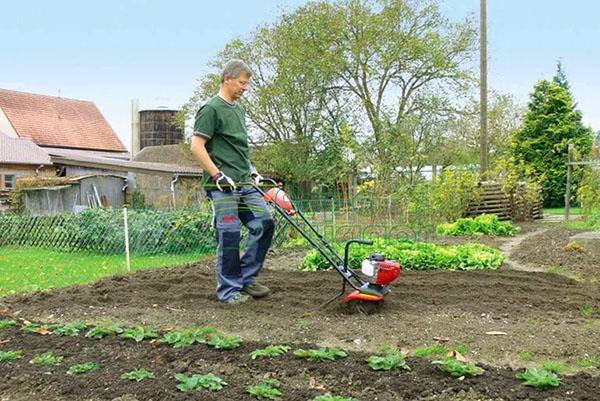 kultywator za oddanie się pracy