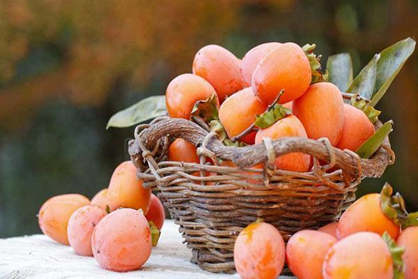 pokarm bogów - persimmon