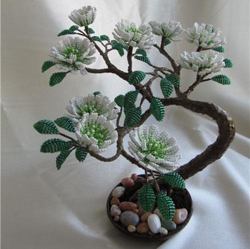 kwitnące bonsai