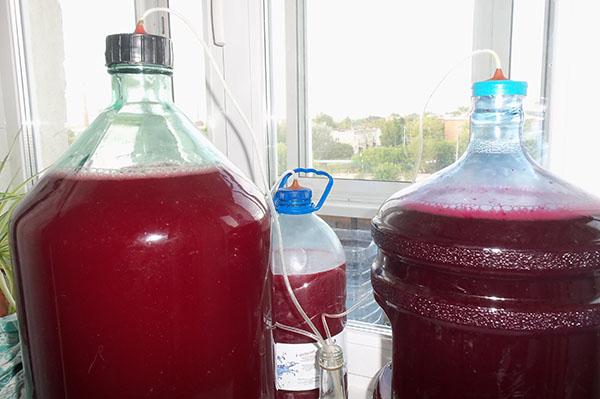 postupak fermentacije vina od maline