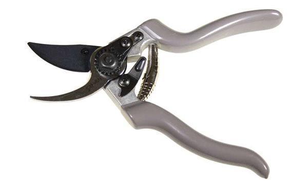 pruner japanski