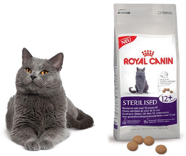 royal canin kattemat