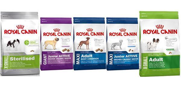 asortyment karmy dla psów Royal Canin