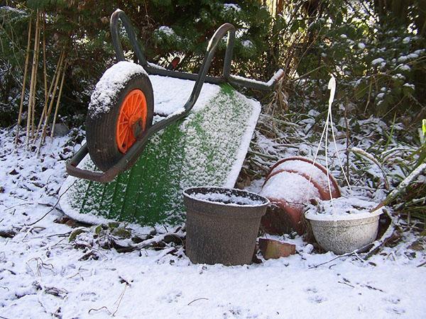 pierwszy listopadowy śnieg