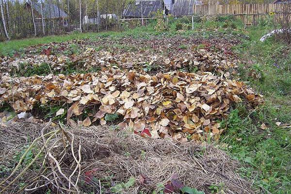 przygotowanie łóżek na chłodne dni