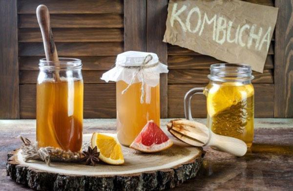 zdrowy napój kombucha