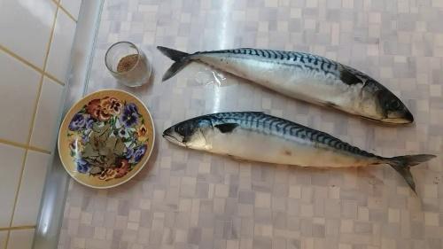 kung paano mag-atsara ng mackerel