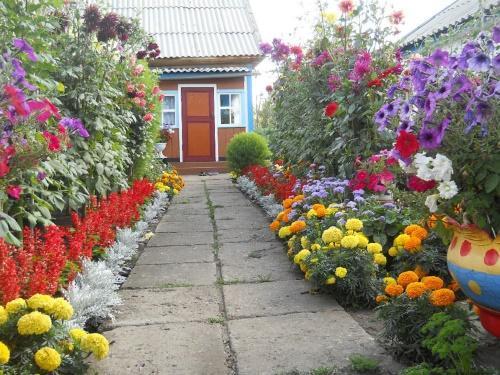 hvilke blomster å plante i landet