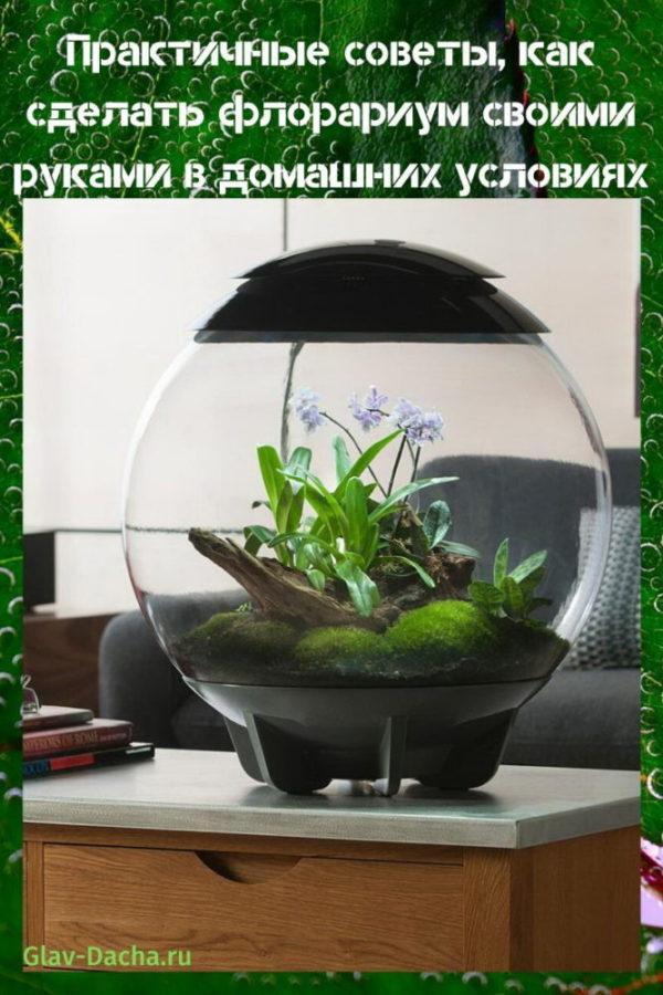 udělejte si florarium