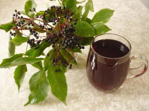 การแช่ Elderberry