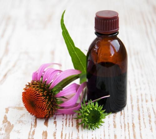 echinacea