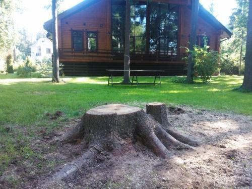 hvordan du rykker opp en stubbe