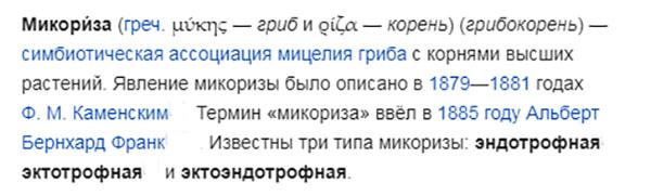 определение на микориза от wikipedia