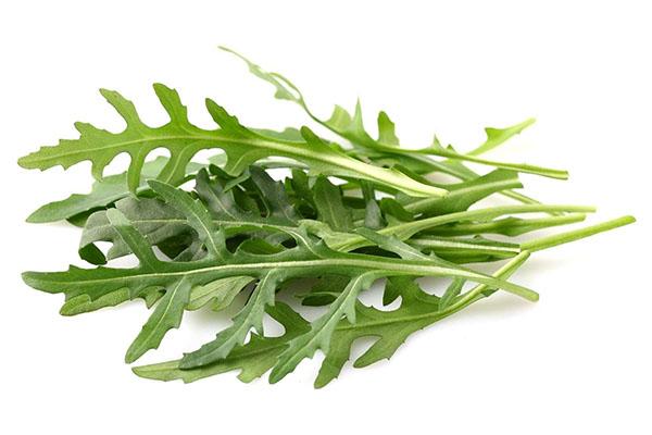 สลัด arugula แคลอรี่ต่ำ