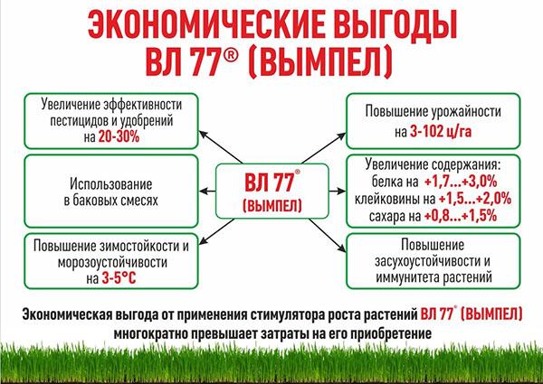 ekonomiczne korzyści wynikające z używania proporczyka