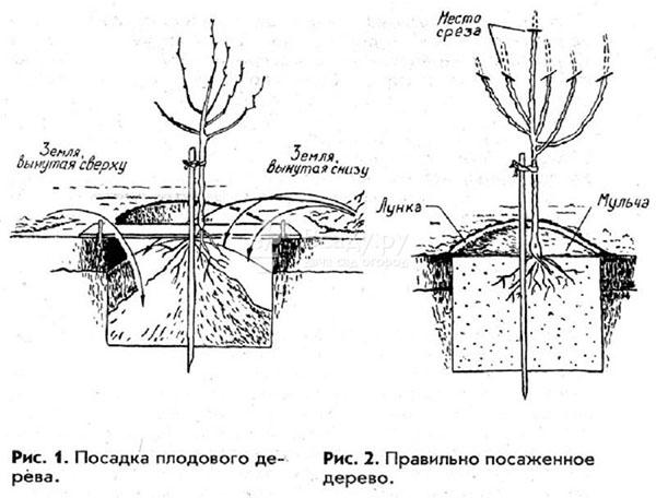 zasady lądowania