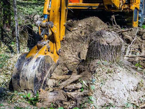 zmechanizowana metoda wyrywania pniaków