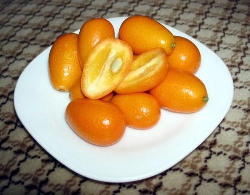 kumquat สามารถกระตุ้นให้เกิดโรคกระเพาะปัสสาวะอักเสบได้