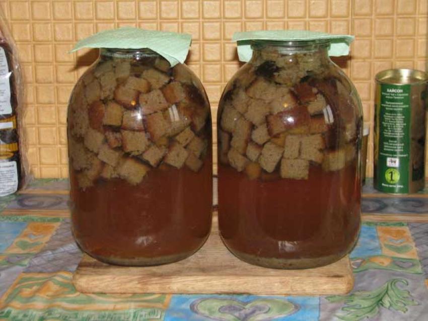 hvordan lage kvass fra kjeks