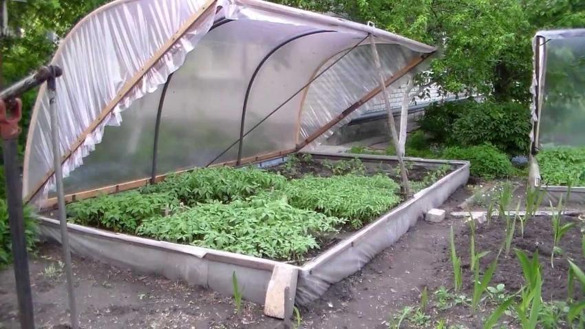 kako napraviti topli staklenik za sadnice