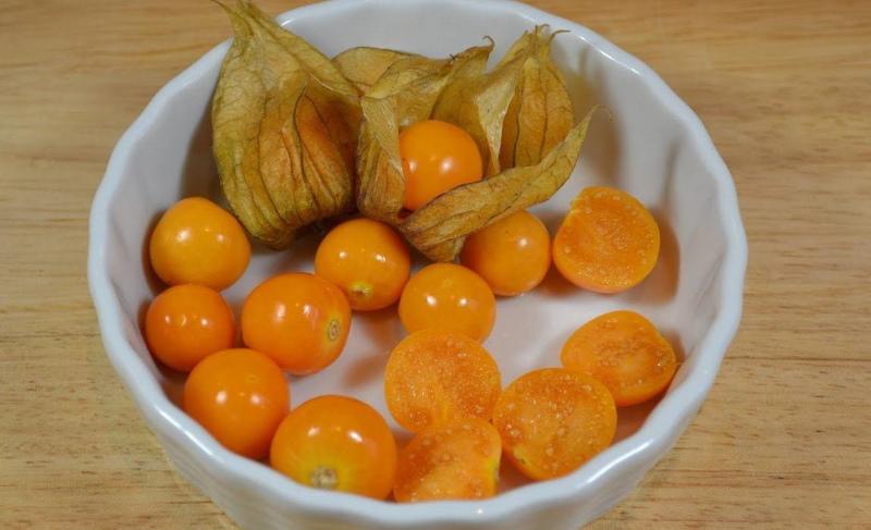 physalis