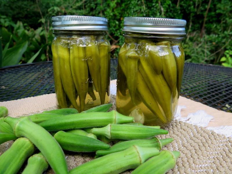 okra užitečné vlastnosti a kontraindikace