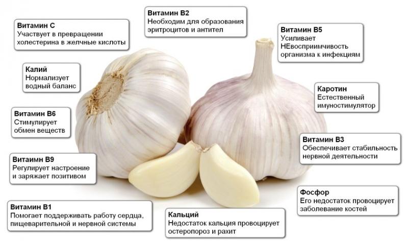 องค์ประกอบทางเคมีของกระเทียม