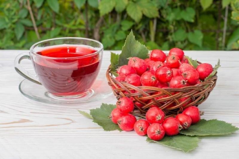 plody hlohu prospívají a škodí tomu, jak se užívají