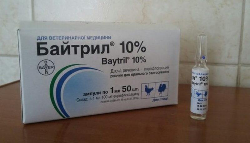 Antibiotic Baytril 10 - instructions for use for birds