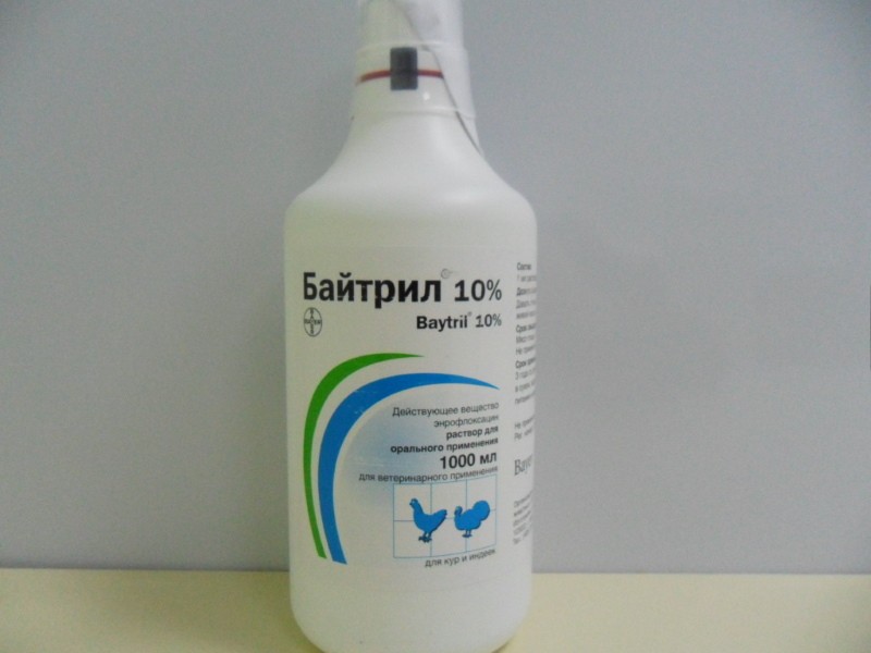 Antibiotic Baytril 10 - instructions for use for birds