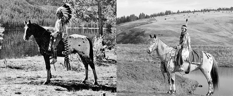 Indere på hester av Appaloosa-rasen