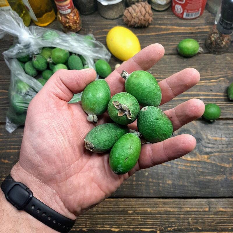 feijoa frukt med saftig masse