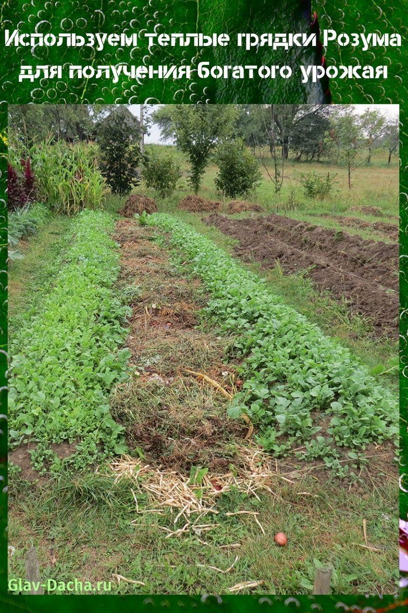 teplé postele Rosum