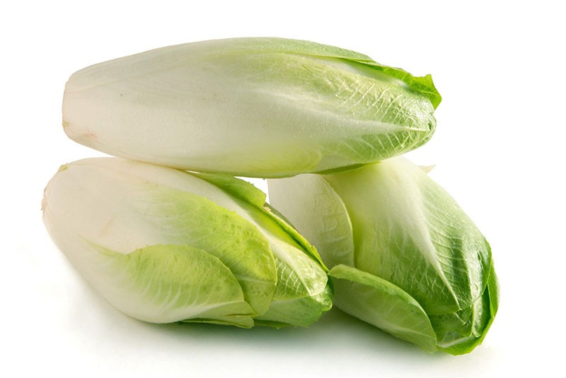 คุณสมบัติที่เป็นประโยชน์ของ endive