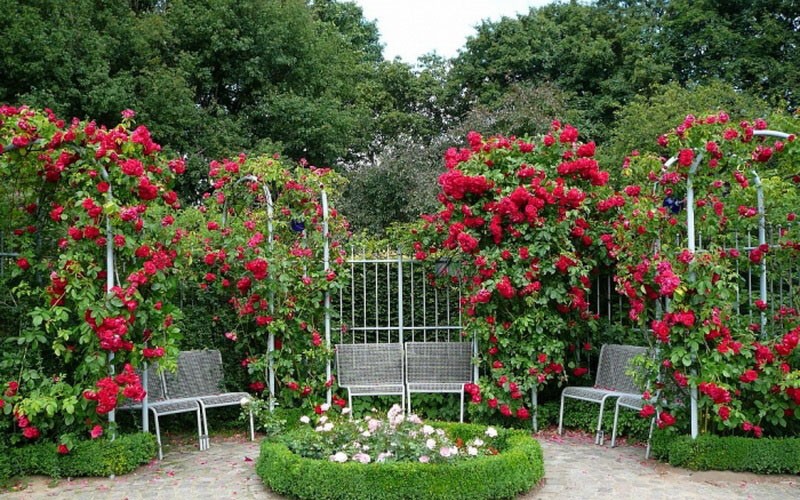 gjør det selv rosenhage i herregården i rekreasjonsområdet