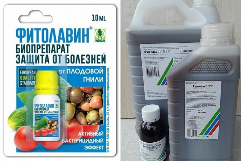 produkt biologiczny do ochrony przed chorobami