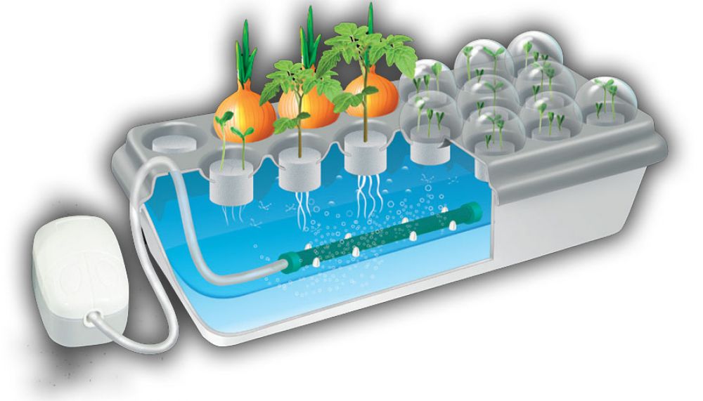 hydroponics fordeler